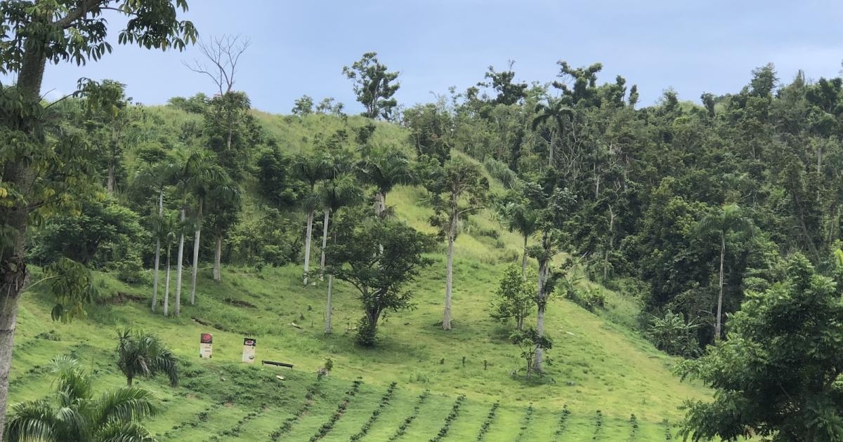 San Lorenzo Discover Puerto Rico